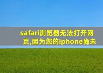 safari浏览器无法打开网页,因为您的iphone尚未