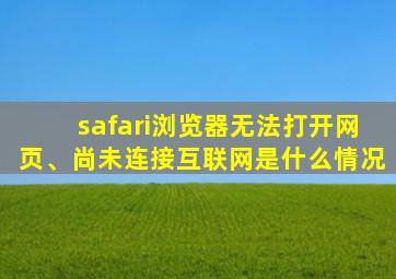 safari浏览器无法打开网页、尚未连接互联网是什么情况