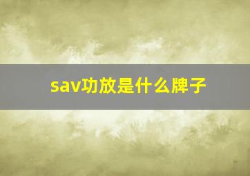 sav功放是什么牌子