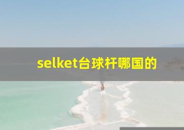 selket台球杆哪国的