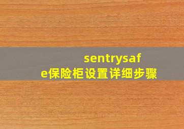 sentrysafe保险柜设置详细步骤