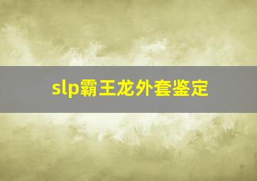 slp霸王龙外套鉴定