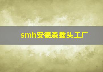 smh安德森插头工厂