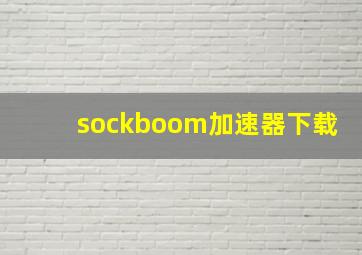 sockboom加速器下载