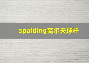 spalding高尔夫球杆