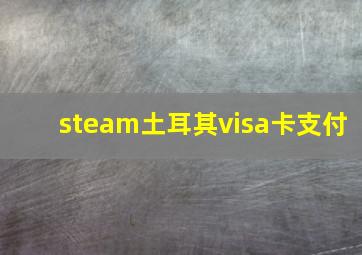 steam土耳其visa卡支付