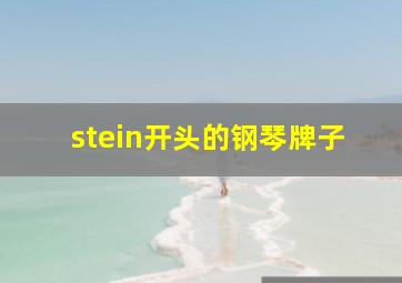 stein开头的钢琴牌子