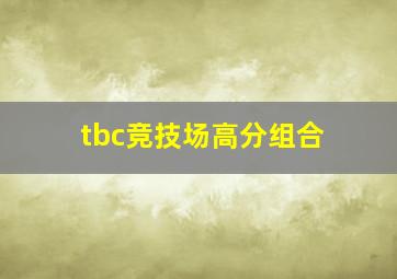 tbc竞技场高分组合