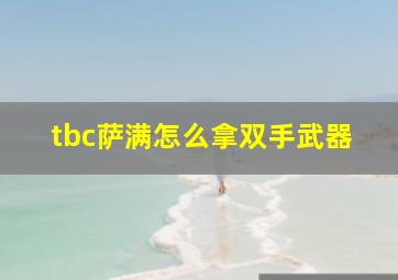 tbc萨满怎么拿双手武器