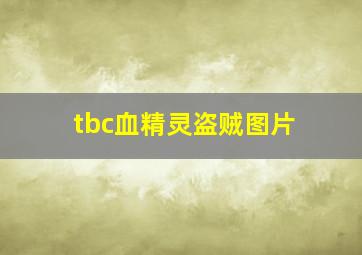 tbc血精灵盗贼图片