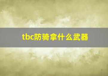 tbc防骑拿什么武器