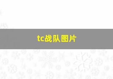 tc战队图片