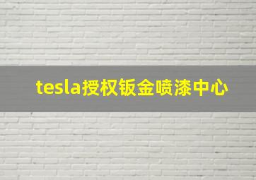 tesla授权钣金喷漆中心