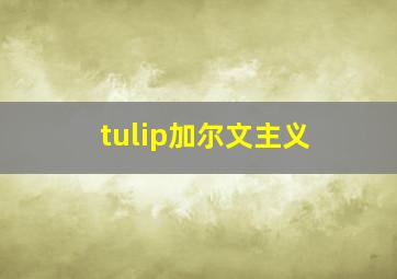 tulip加尔文主义