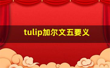 tulip加尔文五要义