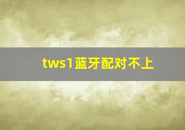 tws1蓝牙配对不上