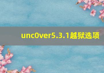 unc0ver5.3.1越狱选项