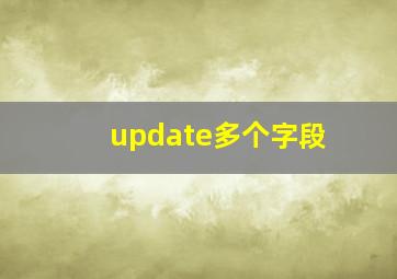 update多个字段