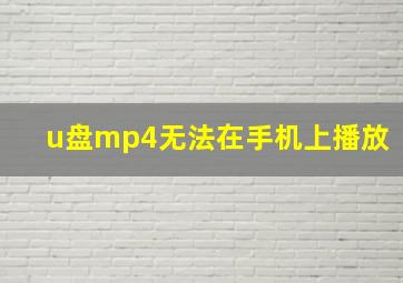 u盘mp4无法在手机上播放