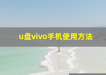 u盘vivo手机使用方法