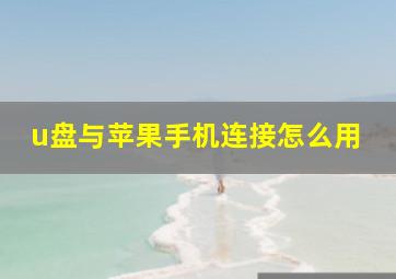 u盘与苹果手机连接怎么用