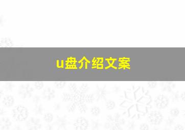 u盘介绍文案