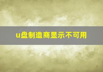 u盘制造商显示不可用