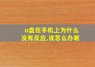 u盘在手机上为什么没有反应,该怎么办呢