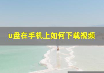 u盘在手机上如何下载视频