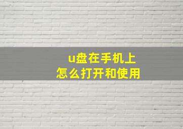 u盘在手机上怎么打开和使用