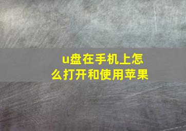 u盘在手机上怎么打开和使用苹果