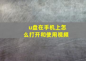 u盘在手机上怎么打开和使用视频