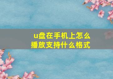 u盘在手机上怎么播放支持什么格式