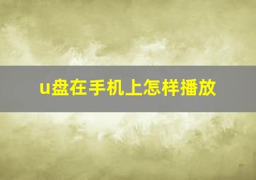 u盘在手机上怎样播放