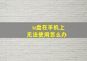 u盘在手机上无法使用怎么办