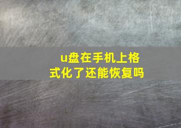 u盘在手机上格式化了还能恢复吗