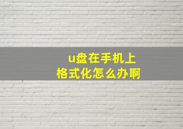 u盘在手机上格式化怎么办啊