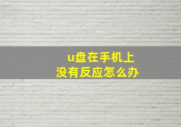 u盘在手机上没有反应怎么办