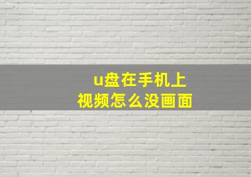 u盘在手机上视频怎么没画面