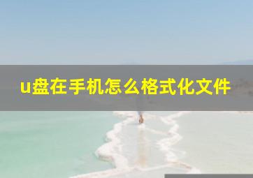 u盘在手机怎么格式化文件