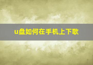 u盘如何在手机上下歌