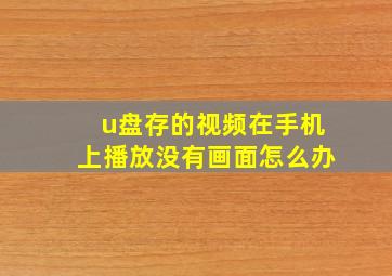 u盘存的视频在手机上播放没有画面怎么办