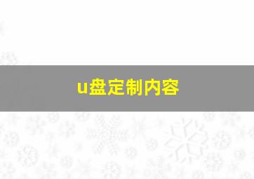 u盘定制内容