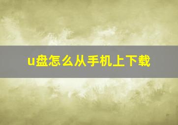 u盘怎么从手机上下载