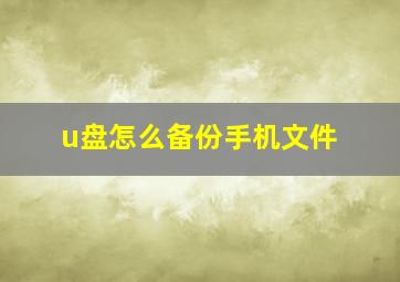 u盘怎么备份手机文件