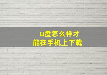 u盘怎么样才能在手机上下载