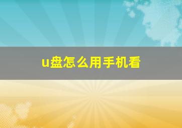 u盘怎么用手机看