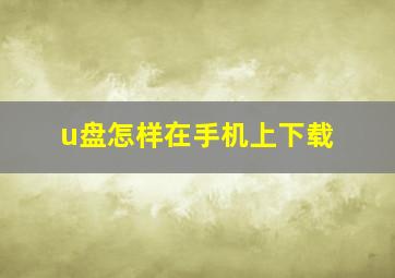 u盘怎样在手机上下载