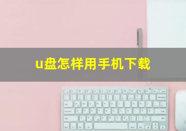 u盘怎样用手机下载