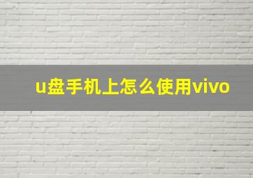 u盘手机上怎么使用vivo